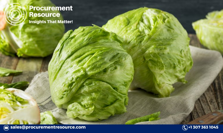 Extensive Lettuce Production Cost Report: An In-depth Analysis