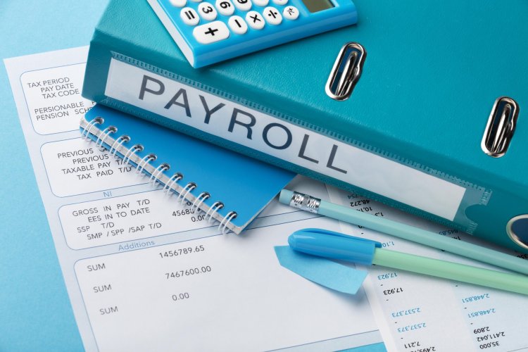 Top Rated Payroll Software for 2025: Best Solutions