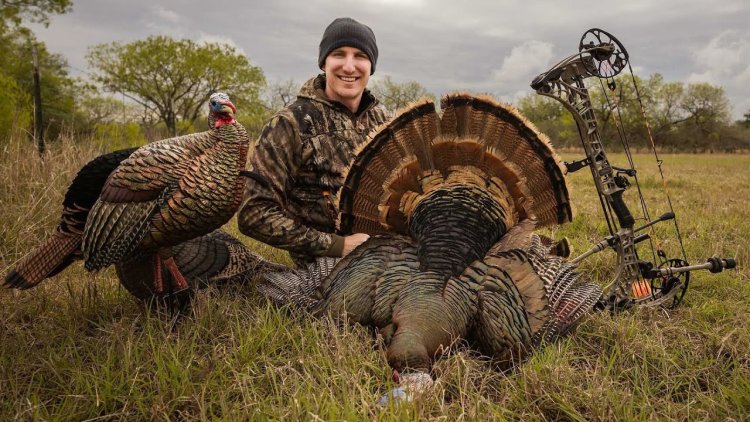 The Impact of Drought on Turkey Populations and Hunting Success