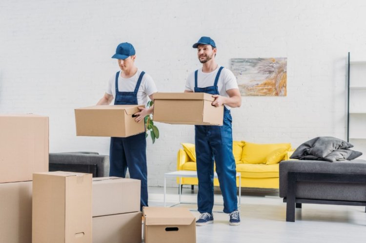 Why Choose Local Removal Companies Near Me for Your Move