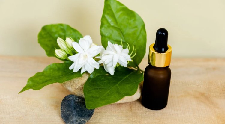 Origin & Types of Jasmine Attar & Jasmine Essential Oil