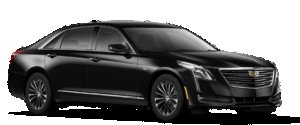 Why Do Families Love Chauffeur Service for Disney World