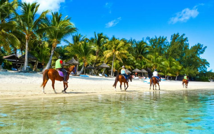 7 Cool and Unusual Things to Do in Mauritius