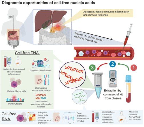 Introduction, Advantages, and Workflow of Cell-Free RNA Sequencing